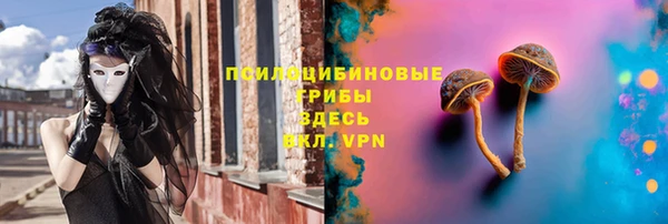 гашик Богородск