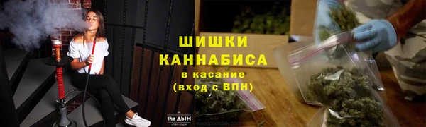 гашик Богородск