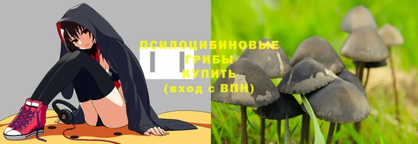 гашик Богородск