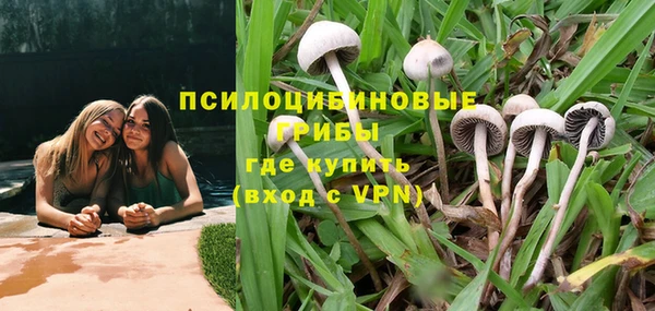 мдпв Богородицк