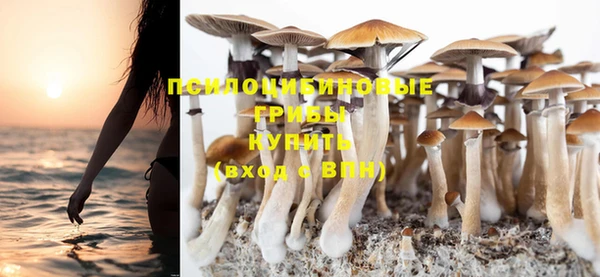скорость Богданович
