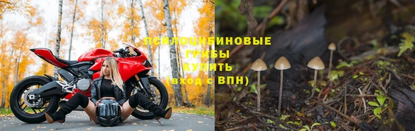 гашик Богородск