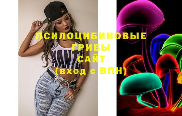 мдпв Богородицк