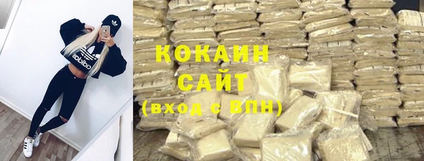 шишки Снежногорск